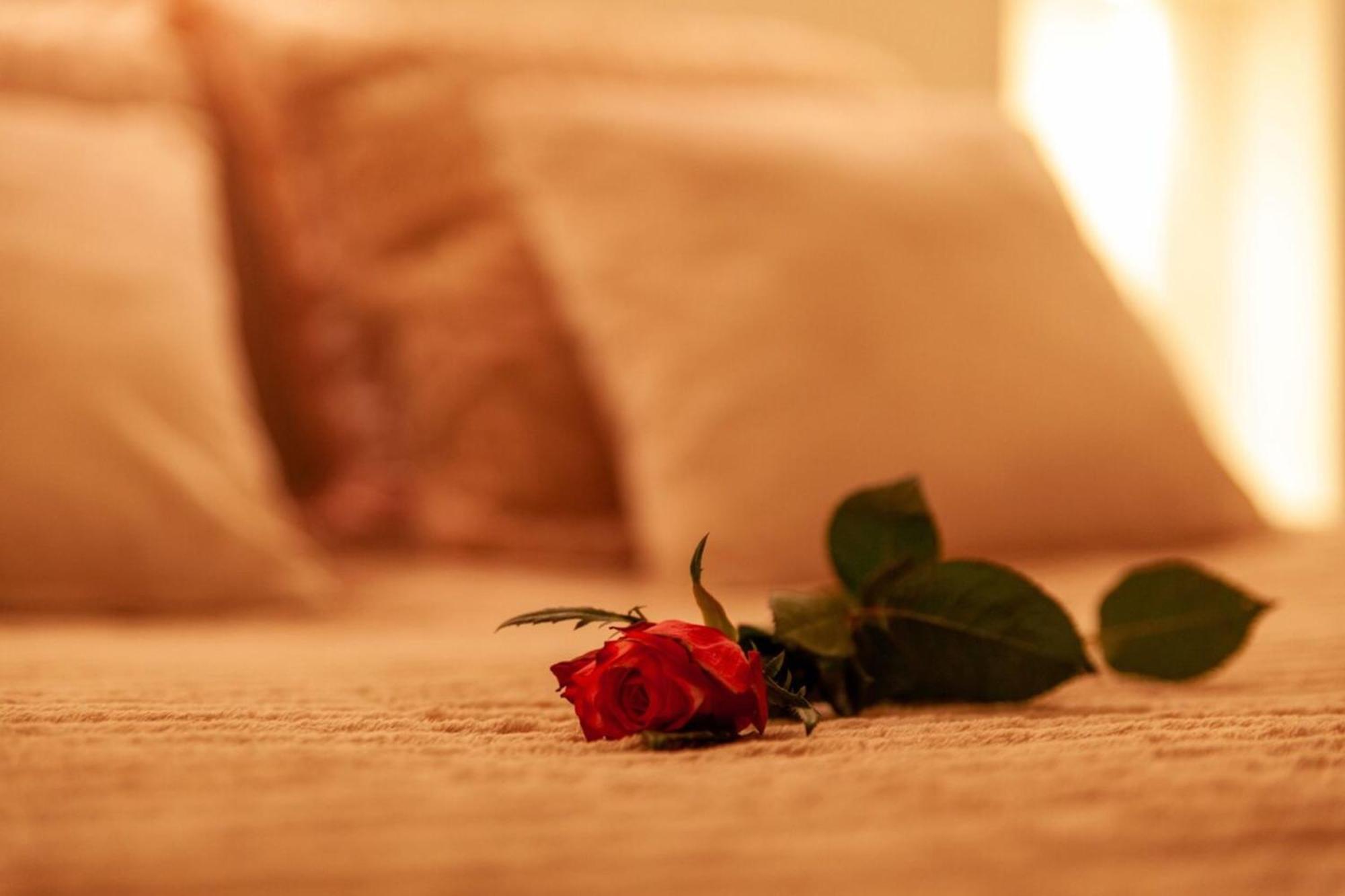 Love Room Perpignan Jacuzzi & Ambiance Romantique Villeneuve-de-la-Raho Dış mekan fotoğraf